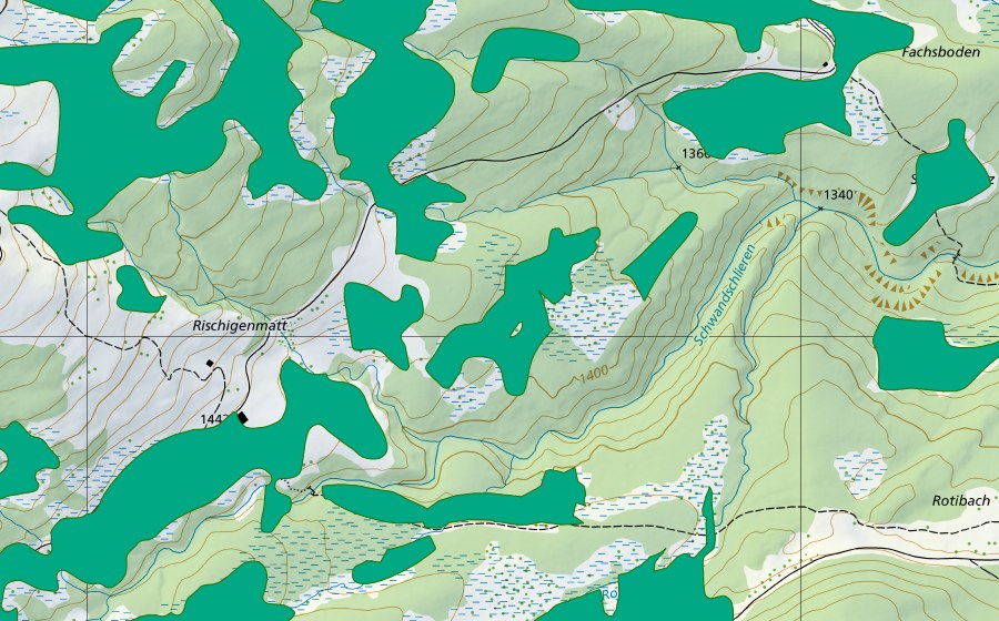 swisstopo national map showing the protected perimeter of Rischigenmatt (Fen)