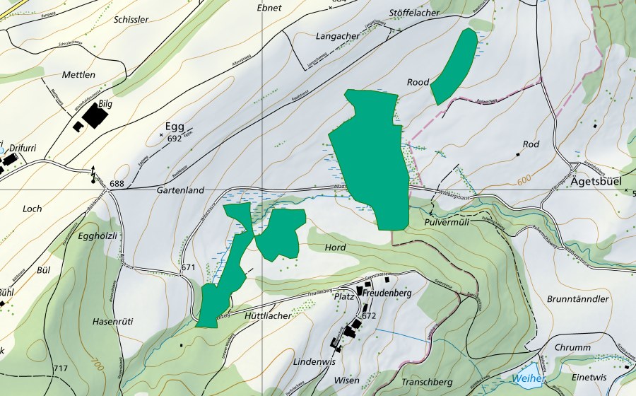 swisstopo national map showing the protected perimeter of Rod (Fen)