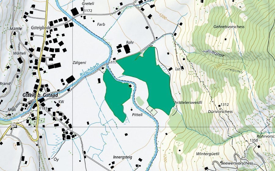 Carte nationale swisstopo avec le périmètre protégé de Rohr Gsteig (Bas-marais)