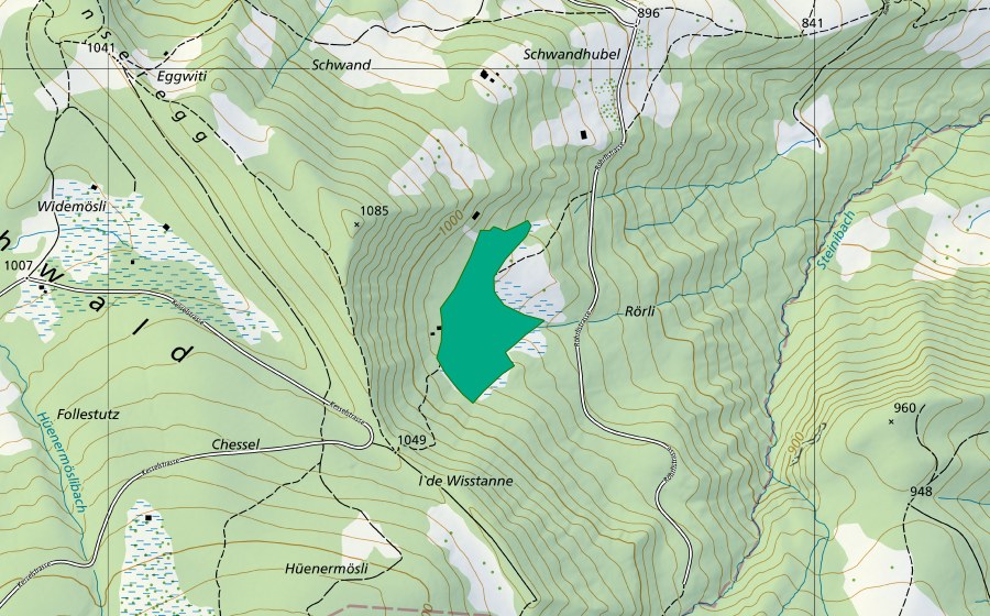 Landeskarte swisstopo mit dem Schutzperimeter von Röhrli (Flachmoor)