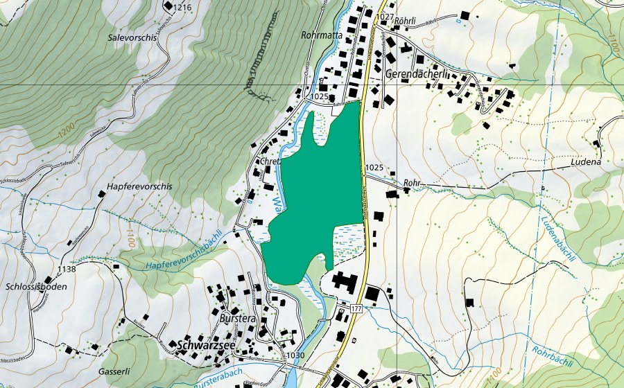 Carte nationale swisstopo avec le périmètre protégé de Rohrmoos (Bas-marais)