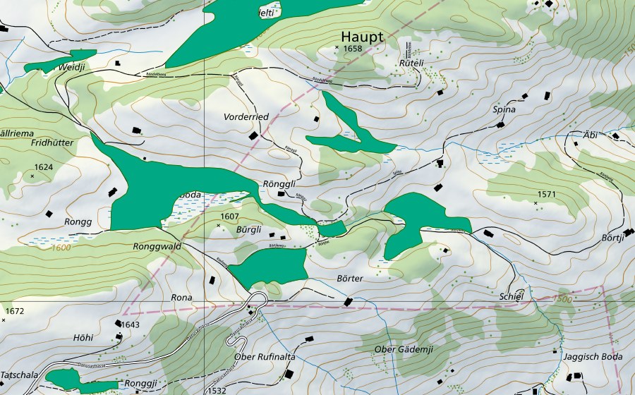 Carte nationale swisstopo avec le périmètre protégé de Rongg (Bas-marais)