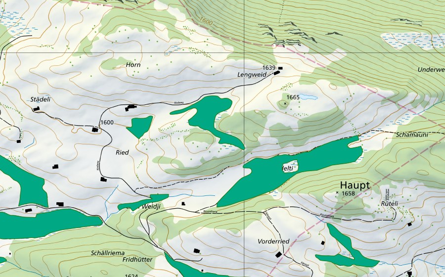 swisstopo national map showing the protected perimeter of Rongg (Fen)