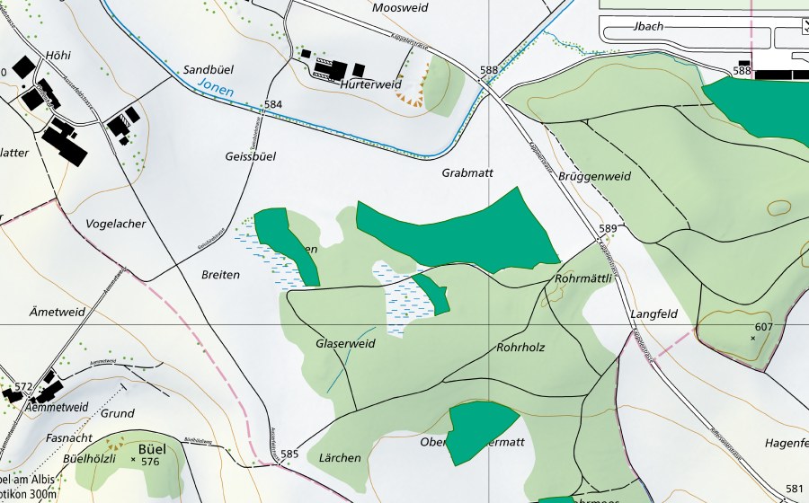 Carte nationale swisstopo avec le périmètre protégé de Rorholz (Bas-marais)