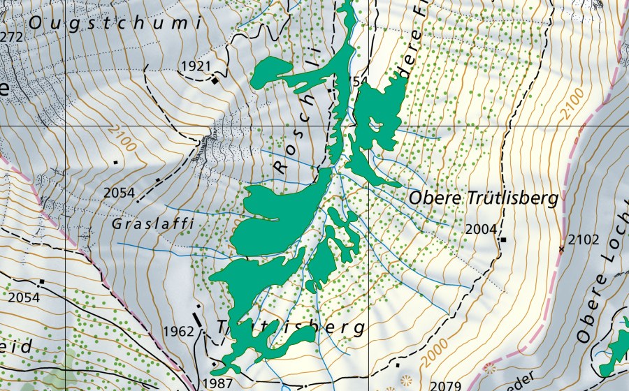Carte nationale swisstopo avec le périmètre protégé de Roscheli (Bas-marais)