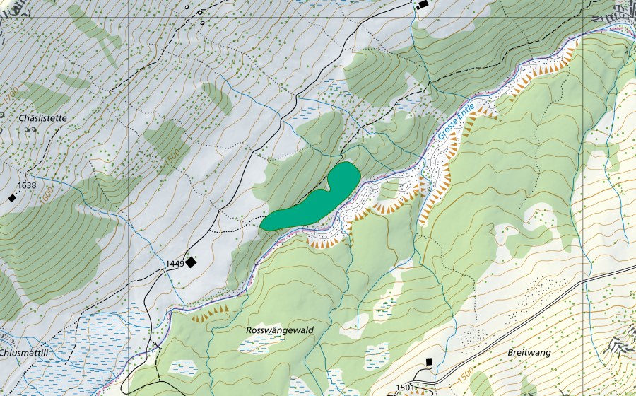 Carte nationale swisstopo avec le périmètre protégé de Rosswängenwald (Bas-marais)