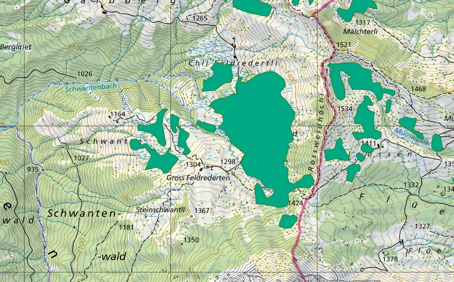 Landeskarte swisstopo mit dem Schutzperimeter von Rossweid (Flachmoor)