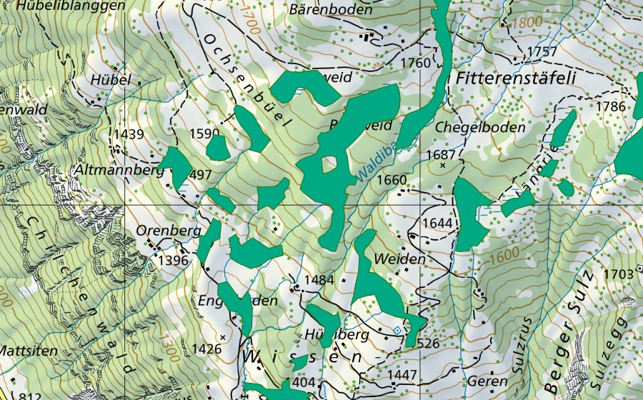 swisstopo national map showing the protected perimeter of Rossweid (Fen)