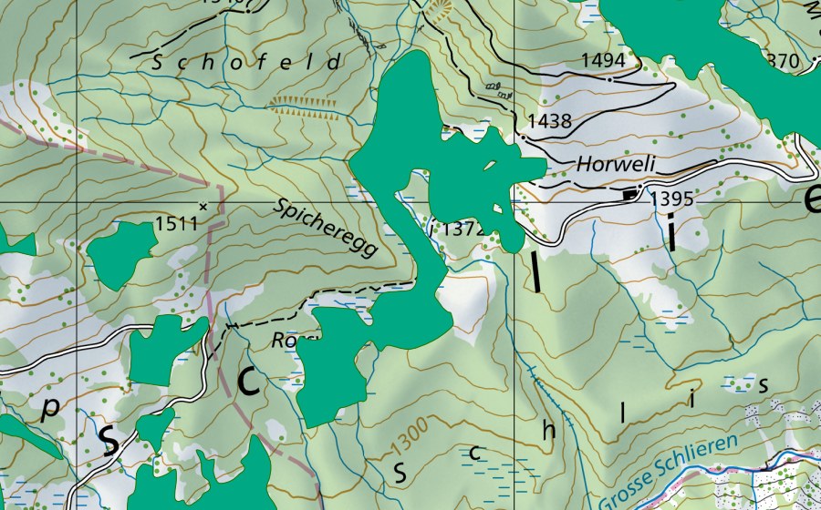 swisstopo national map showing the protected perimeter of Rossweid (Fen)