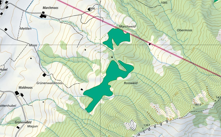 swisstopo national map showing the protected perimeter of Rossweid (Fen)