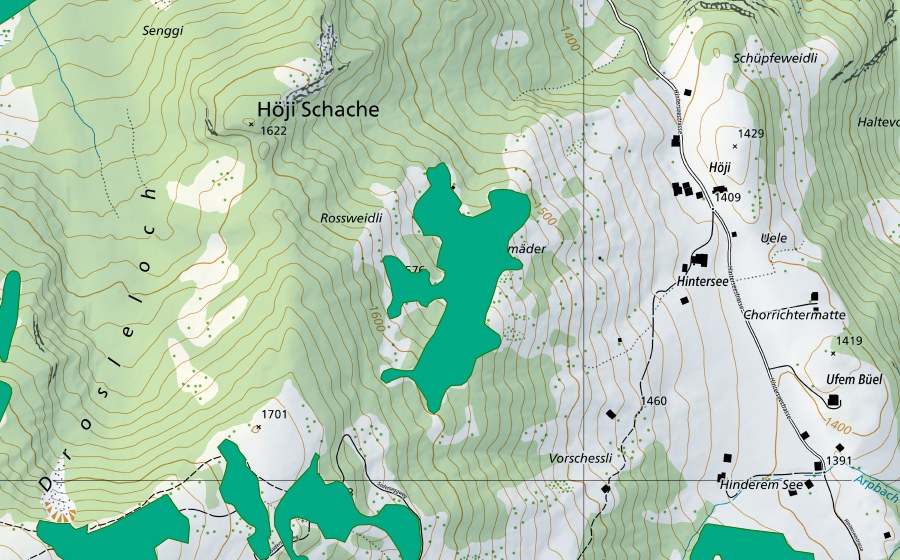 swisstopo national map showing the protected perimeter of Rossweidli (Fen)