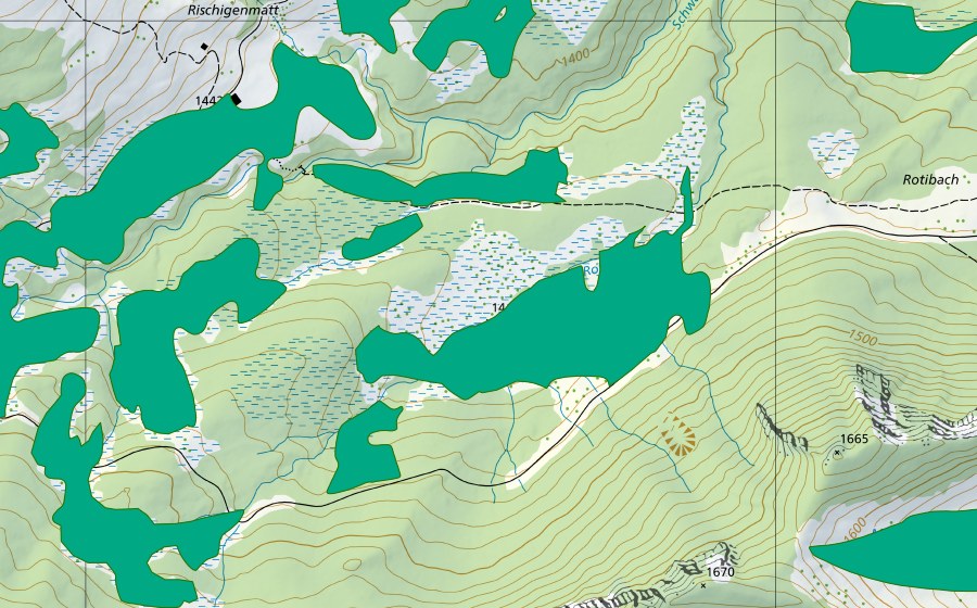 Landeskarte swisstopo mit dem Schutzperimeter von Rotibachried (Flachmoor)