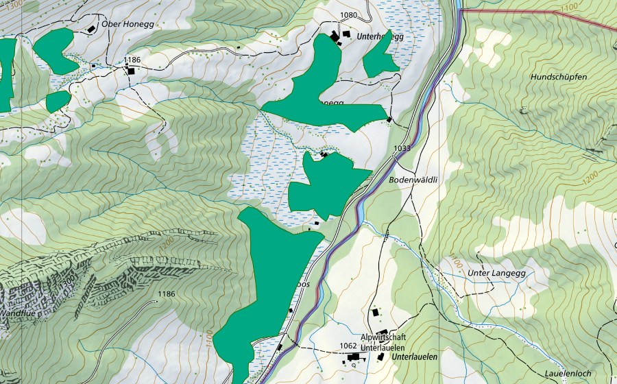 Carte nationale swisstopo avec le périmètre protégé de Rotstock/Unter Honegg (Bas-marais)