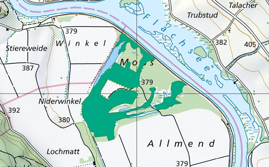 Carte nationale swisstopo avec le périmètre protégé de Rottenschwilermoos (Bas-marais)