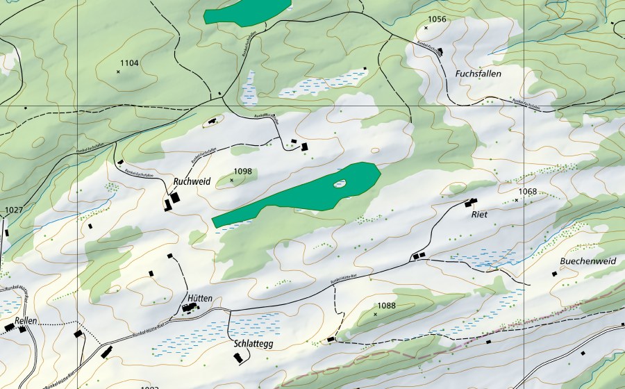 swisstopo national map showing the protected perimeter of Ruchweid (Fen)