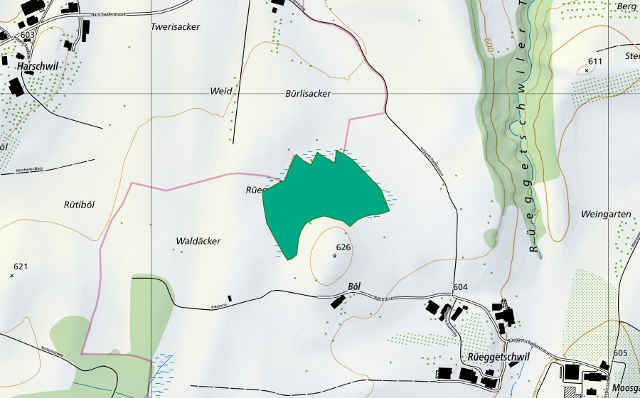 Carte nationale swisstopo avec le périmètre protégé de Rüeggetschwiler Moos (Bas-marais)
