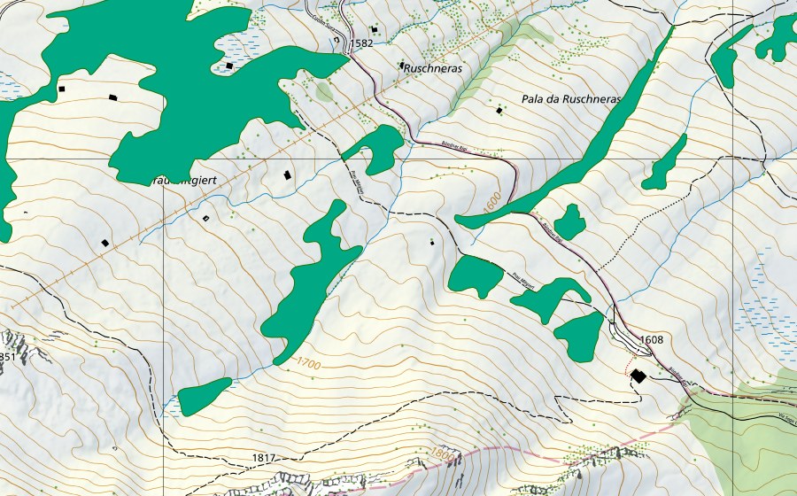 swisstopo national map showing the protected perimeter of Ruschneras (Fen)