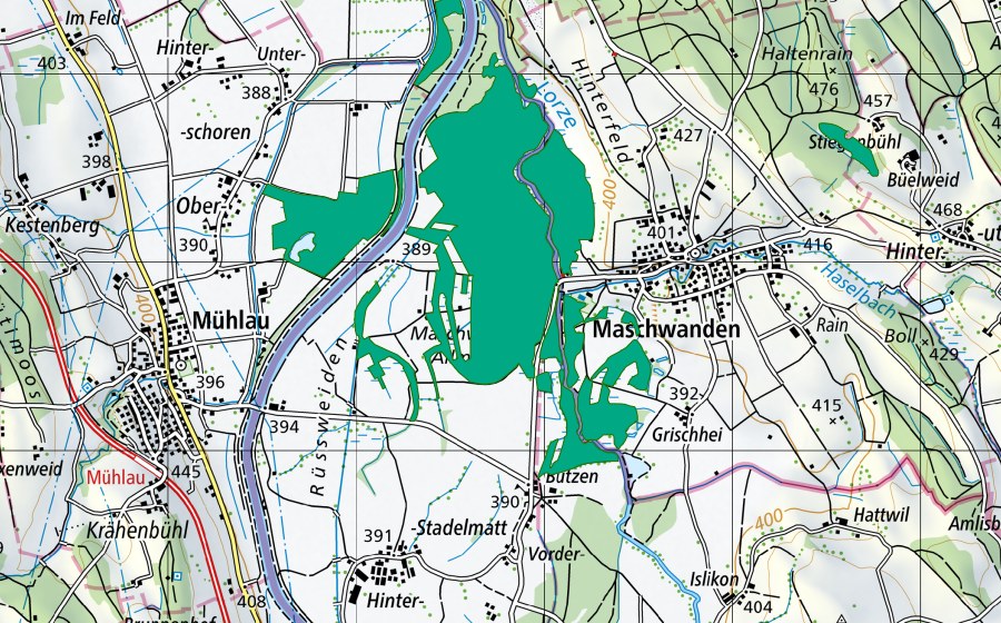Carte nationale swisstopo avec le périmètre protégé de Rüss-Spitz/Wannhüseren (Bas-marais)