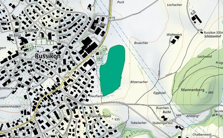 Carte nationale swisstopo avec le périmètre protégé de Russiker Riet (Bas-marais)