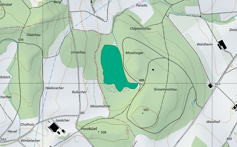 swisstopo national map showing the protected perimeter of Rütermoos (Fen)
