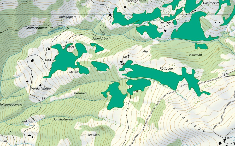 Carte nationale swisstopo avec le périmètre protégé de Rüti (Bas-marais)