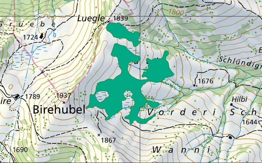 Carte nationale swisstopo avec le périmètre protégé de Rüti (Bas-marais)