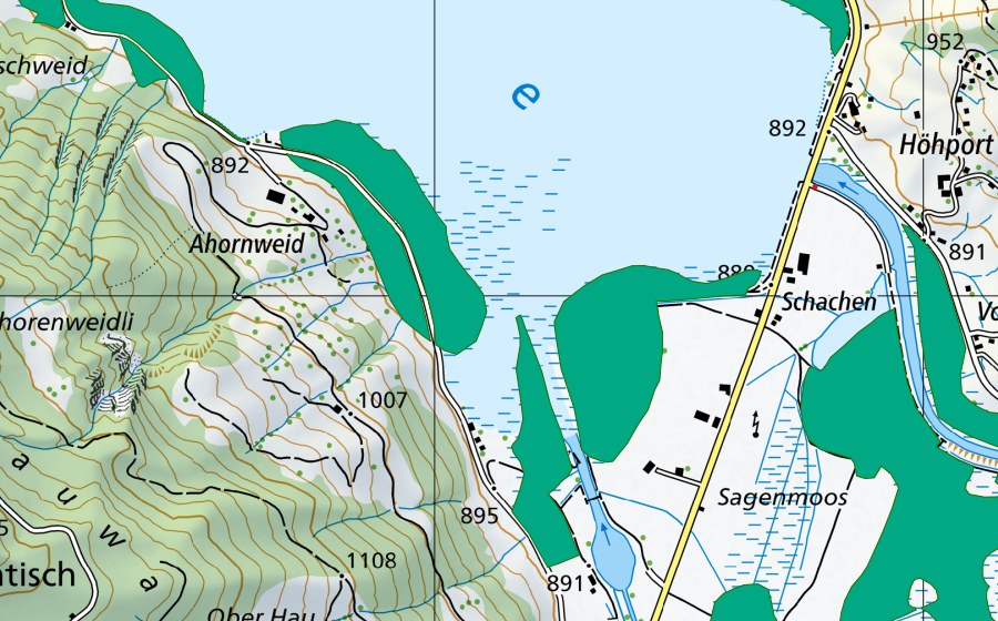 Carte nationale swisstopo avec le périmètre protégé de Rütiwijer (Bas-marais)