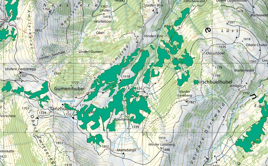Carta nazionale swisstopo con il perimetro protetto di Rüwlisepass (Torbiera bassa)