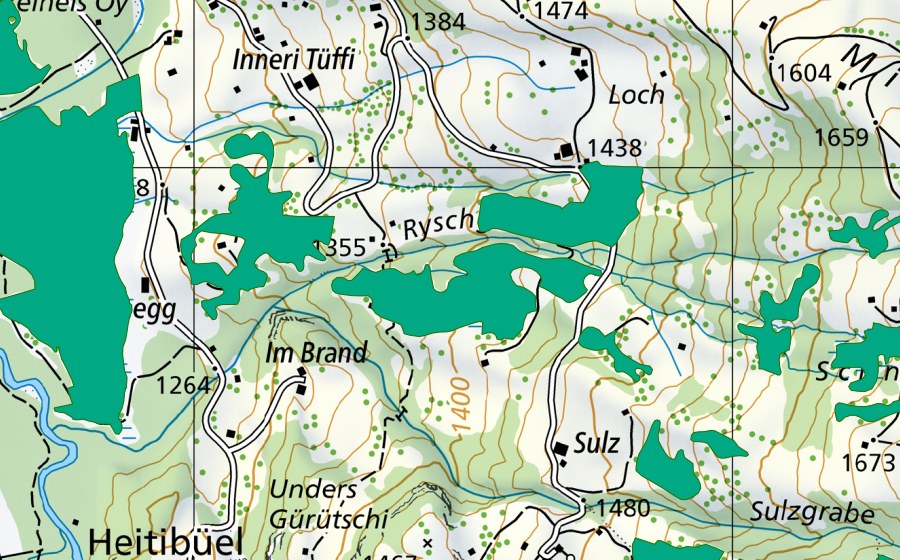 Landeskarte swisstopo mit dem Schutzperimeter von Rysch (Flachmoor)