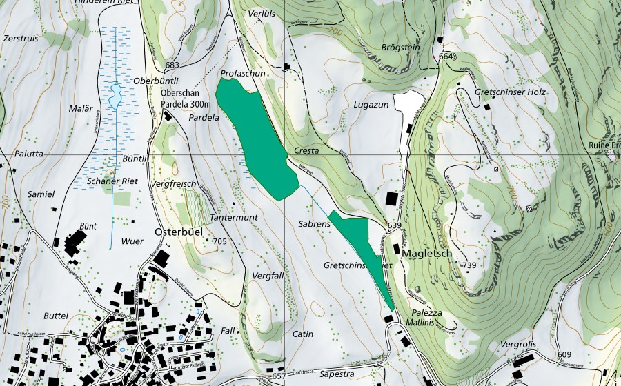 Landeskarte swisstopo mit dem Schutzperimeter von Sabrens (Flachmoor)