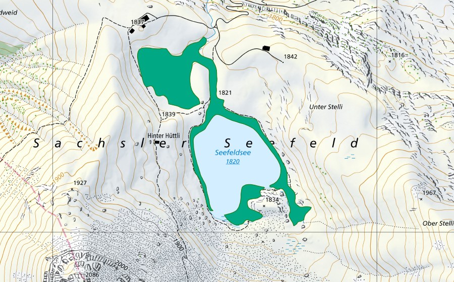 Carta nazionale swisstopo con il perimetro protetto di Sachsler Seefeld (Torbiera bassa)