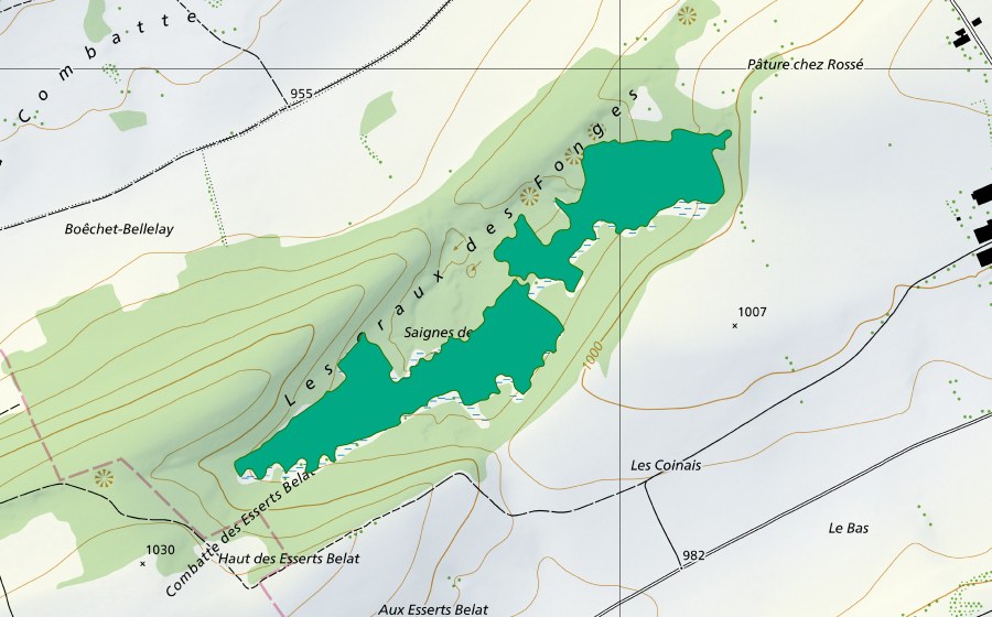 swisstopo national map showing the protected perimeter of Saignes des Fondrais (Fen)