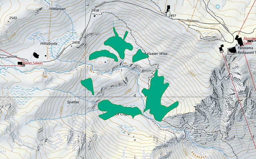 Landeskarte swisstopo mit dem Schutzperimeter von Salaaser Wisen (Flachmoor)