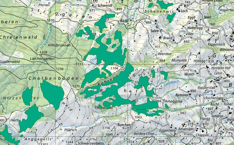 Carta nazionale swisstopo con il perimetro protetto di Salegg/Chaltenbach/Rohr (Torbiera bassa)