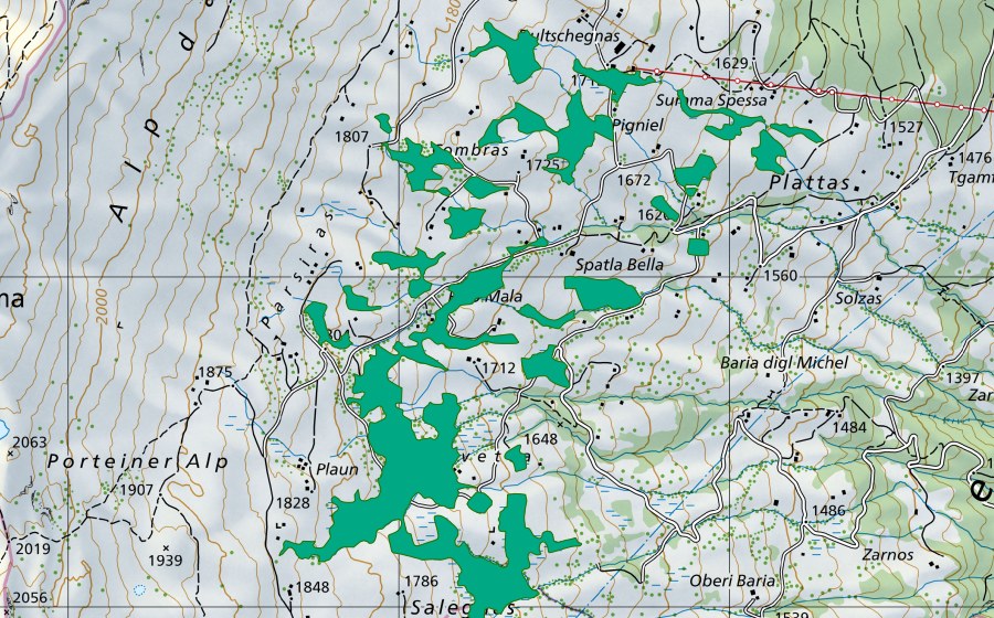 Landeskarte swisstopo mit dem Schutzperimeter von Salignas/Combras (Flachmoor)