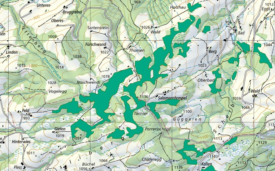 Carte nationale swisstopo avec le périmètre protégé de Salomonstempel (Bas-marais)