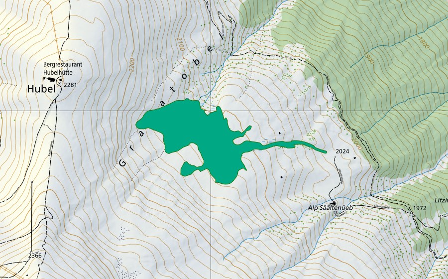 Carte nationale swisstopo avec le périmètre protégé de Sältenüeb (Bas-marais)