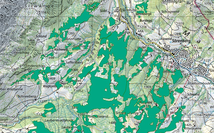 swisstopo national map showing the protected perimeter of Salwiden (Fen)