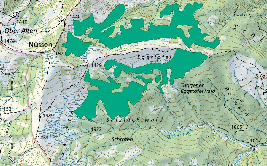 swisstopo national map showing the protected perimeter of Salzläcki (Fen)