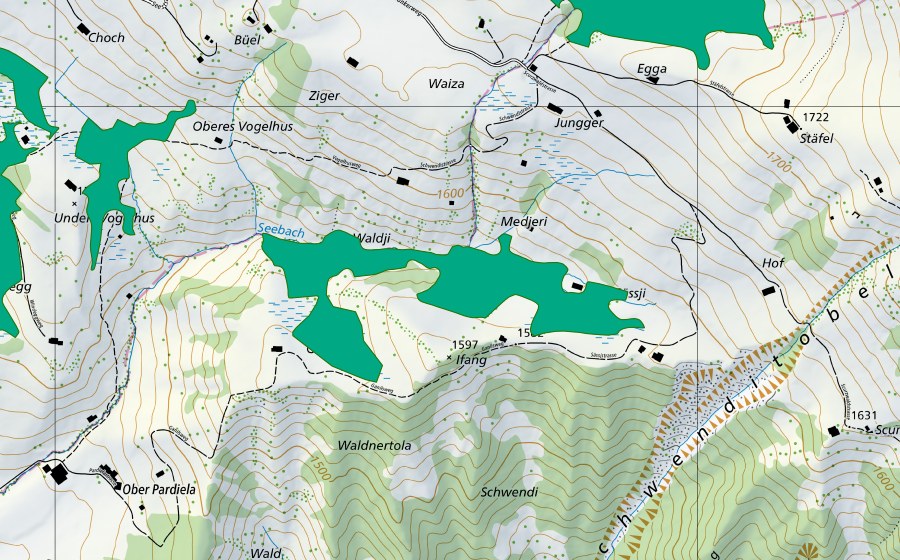 Landeskarte swisstopo mit dem Schutzperimeter von Sässji (Flachmoor)