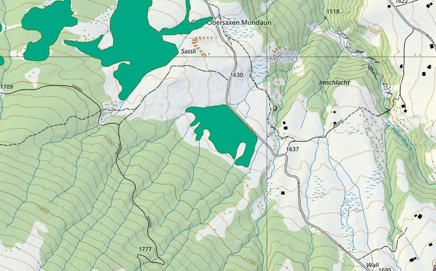 Landeskarte swisstopo mit dem Schutzperimeter von Sassli (Flachmoor)