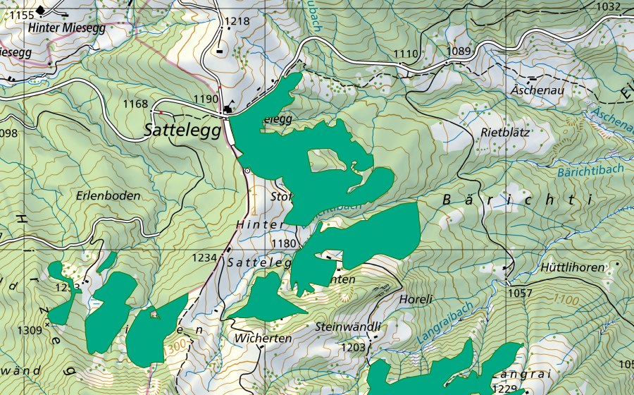 Carta nazionale swisstopo con il perimetro protetto di Sattelegg (Torbiera bassa)