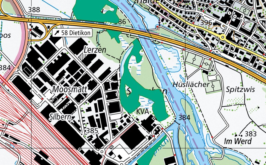 Landeskarte swisstopo mit dem Schutzperimeter von Schachen (Flachmoor)