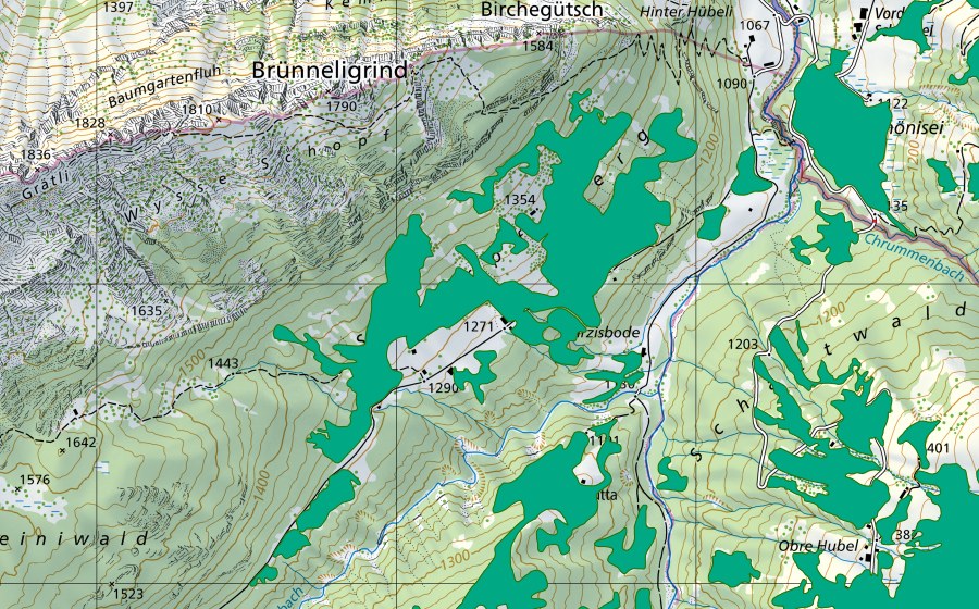 Landeskarte swisstopo mit dem Schutzperimeter von Schärpfenberg (Flachmoor)