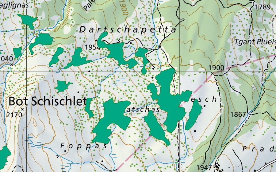 Carta nazionale swisstopo con il perimetro protetto di Schatschas (Torbiera bassa)