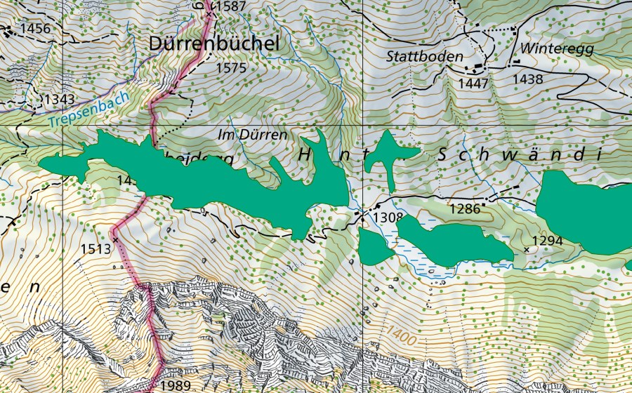 Carte nationale swisstopo avec le périmètre protégé de Scheidegg (Bas-marais)