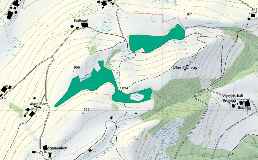 Carte nationale swisstopo avec le périmètre protégé de Schindellegi (Bas-marais)