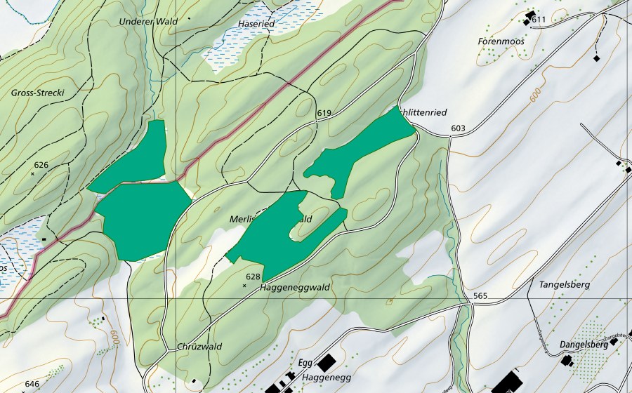 swisstopo national map showing the protected perimeter of Schlittenried (Fen)
