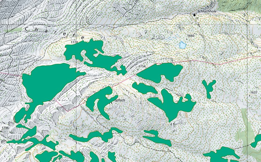 swisstopo national map showing the protected perimeter of Schluchhole (Fen)