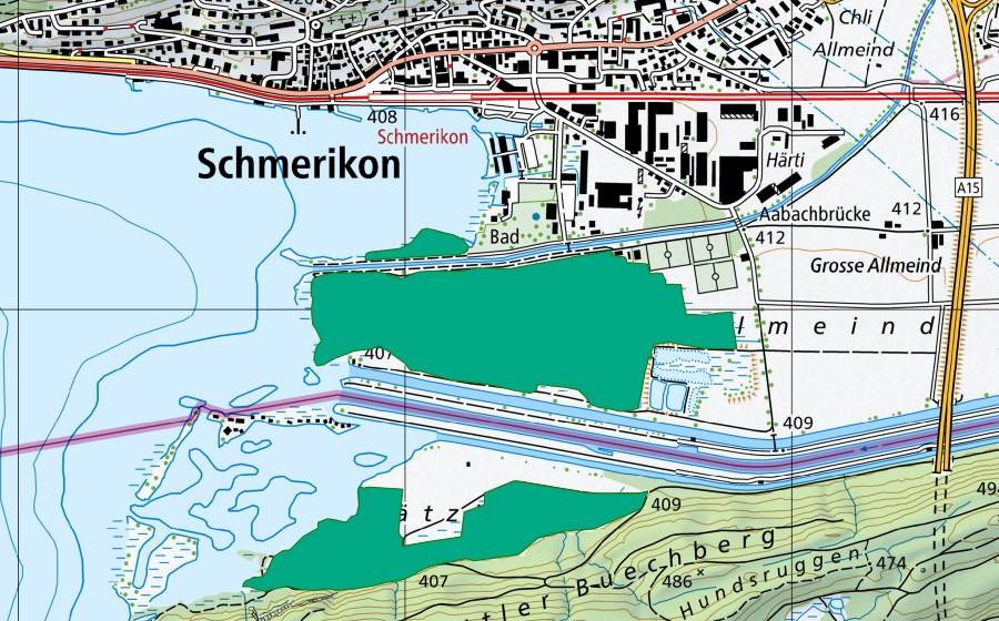 Carte nationale swisstopo avec le périmètre protégé de Schmerikoner Riet (Bas-marais)